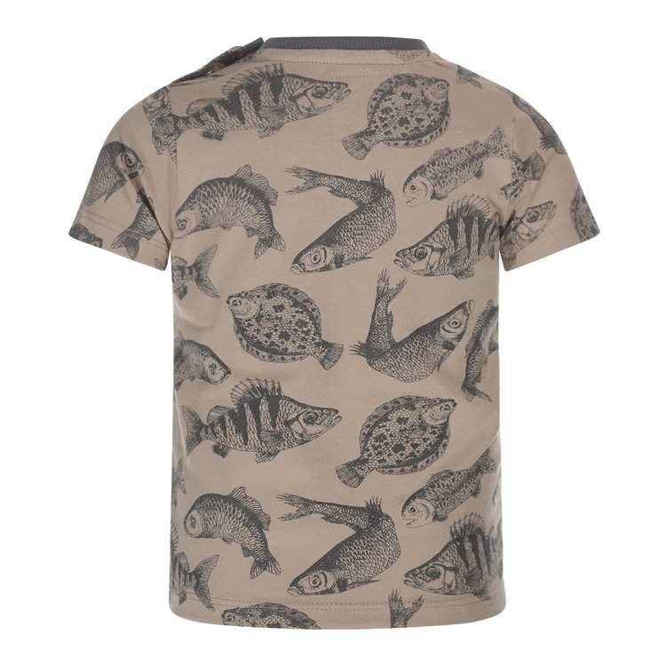 koko noko boys t shirt beige fish koko noko boys t shirt beige fish