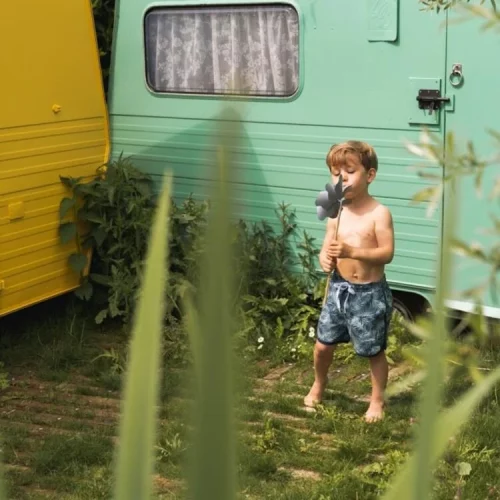 koko noko boys swim shorts soft green botanic shor ()
